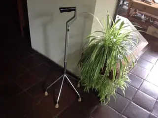 Wandelstok 4-poot verstelbaar