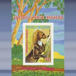 Zuid-Amerikaanse dieren (1977)