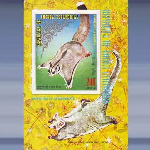 Australische dieren (1974)
