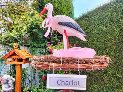 Geboorteborden / Welkomstfeest ! mooie ooievaar, goedkoopst.