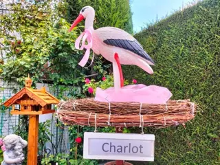 Geboorteborden / Welkomstfeest ! mooie ooievaar, goedkoopst.