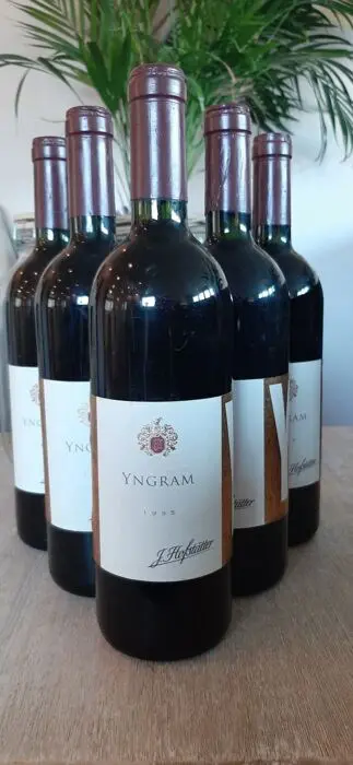 1995 J.Hofstatter, Yngram - Trentino Alto Adige - 6 Flessen