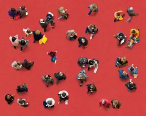 Werner Roelandt - Red Together - Special Edition