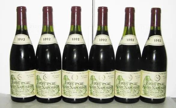 1992 Fixin 1er Cru "Clos Napoléon" - Domaine Pierre Gelin - Bourgondië - 6 Flessen (0.75 liter)
