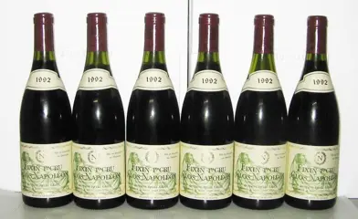 1992 Fixin 1er Cru "Clos Napoléon" - Domaine Pierre Gelin - Bourgondië - 6 Flessen (0.75 liter)