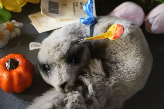 Steiff - Vintage - EAN 089145 - geringde slaapmuis -