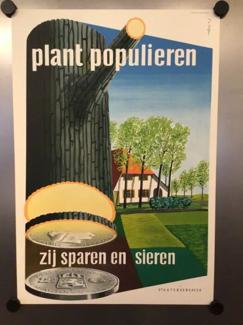 Cor van Velsen - Plant populieren, staatsbosbeheer - 1953