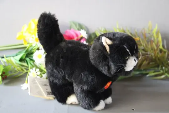 Steiff - Vintage - EAN 074837 - jonge kat-kitten -