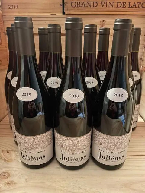 2019 Cru du Beaujolais Julienas - Beaujolais - 12 Flessen