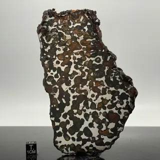 CONCEPTIE JUNCTIE Pallasite HOGE KWALITEIT - 133 g
