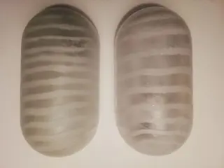 Peill &amp; Putzler - Muurlamp (2)