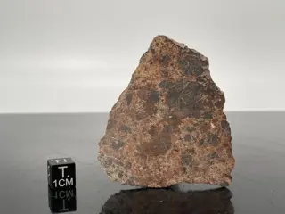 Diogeniet NWA 14056 VESTA Asteroïde Meteoriet - 11 g