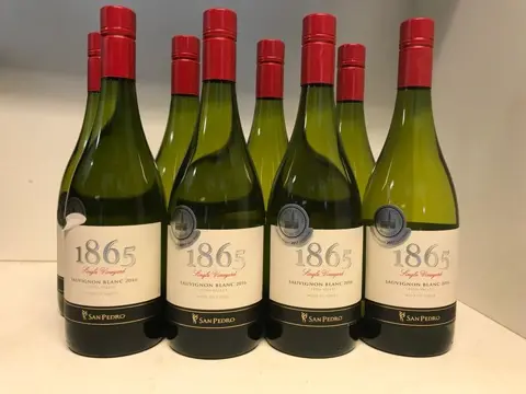 2016 Viña San Pedro 1865 Single Vineyard Sauvignon Blanc -