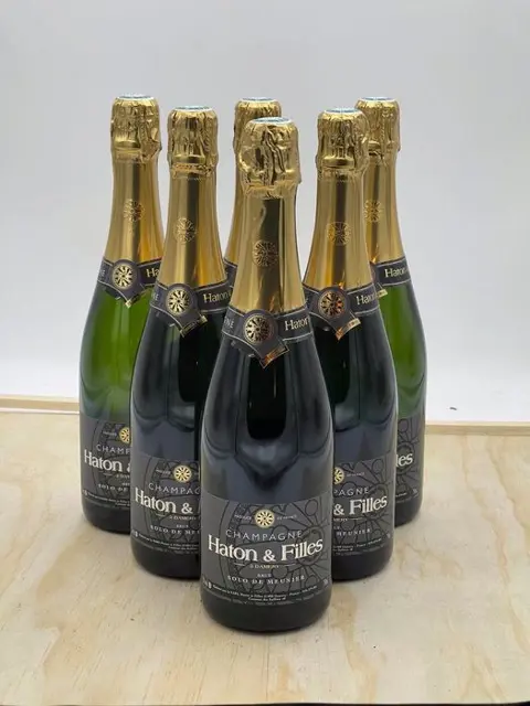 Haton &amp; Filles, Solo de Meunier - Champagne Brut - 6