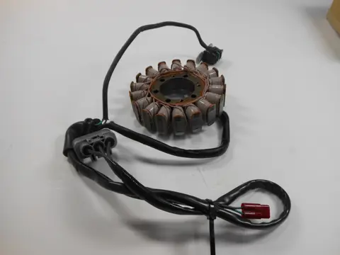 DYNAMO Triumph Daytona 765 2019 - 2020