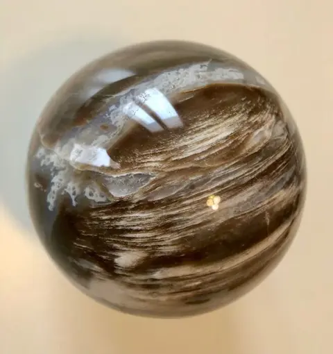 Versteend hout Bol - 87×87×87 mm - 850 g