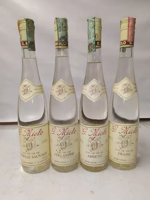 G. Miclo - Prunelle Sauvage, d'eglantine, Abricot, Fraise -