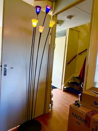 Rob - Nollet Nederland - Special Vloerlamp Handmate - spriet