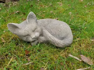 Tuinbeeld van een kleine poes