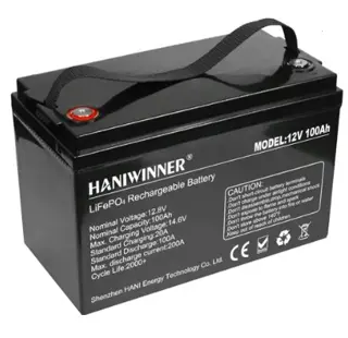 HANIWINNER HD009-10 12.8V 100Ah LiFePO4 Lithium Battery