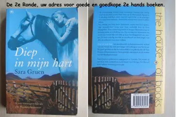 422 - Diep in mijn hart - Sara Gruen