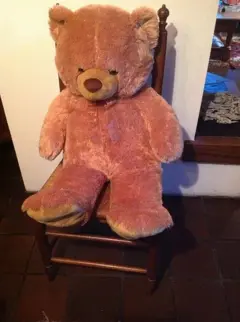 BEREN - knuffels - Nieuw