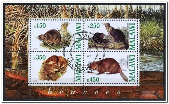 CINDERELLA: Bevers / Beavers - Malawi - 2010