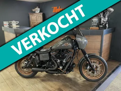 Harley Davidson FXDL 103Ci Dyna Low Rider Grey & Gold Edition Club Style