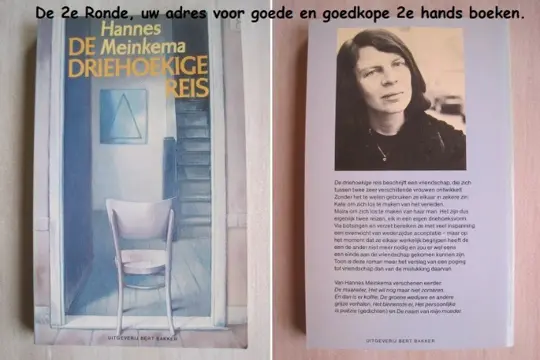 275 - De driehoekige reis - Hannes Meinkema