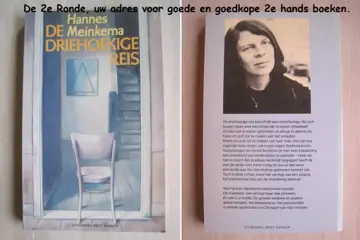 275 - De driehoekige reis - Hannes Meinkema