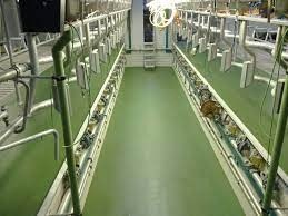 Melkstalvloeren gemaakt tussen de melkbeurten