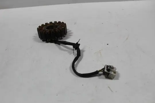 DYNAMO Honda CBR 600 FS Sport 2001 - 2004