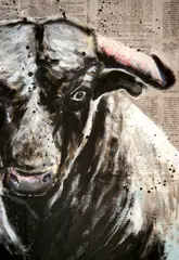 Bazévian DelaCapucinière - Portrait Toro Celeste(Large)