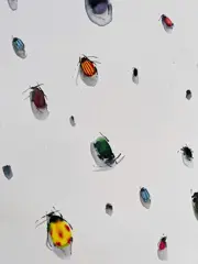 Pablo Fernandez Pujol (Winner of the Paul Ricard Artprice) - Study for grandma’s farm night