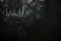 Carlos Asensio - Antropomorfo V