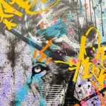 AIIROH (1987) - "Beware The Cat "