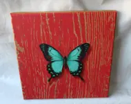 Ciprian Mihailescu - Fragile VI