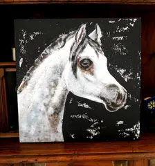 Bazévian DelaCapucinière - Portrait Animalier cheval blanc