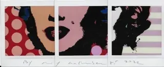 Maurizio Galimberti (1956) - Marilyn