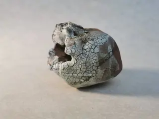 Cathy Astolfi - Tectonique 2