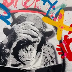 SINAO (1981) - "Playboy"