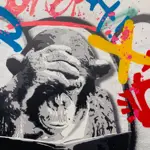 SINAO (1981) - "Playboy"