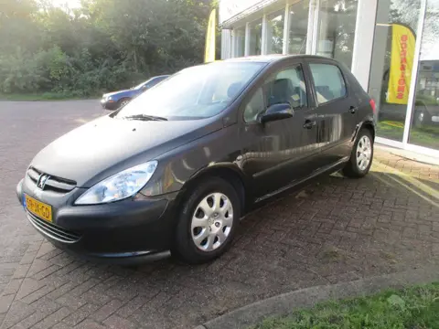 Peugeot 307 1.6-16V XS 5 deurs! (bj 2002)