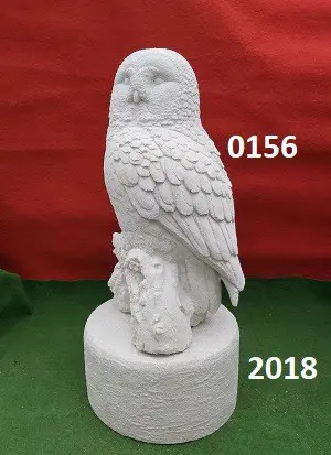 Verschillende Uilen / Steenuil met zuil