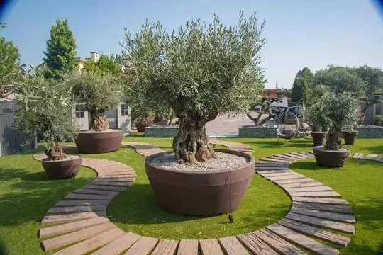 ERCOLE nieuwe kunststof plantenbak/bloempot