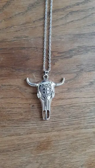 RVS_ketting - met een skull - schedel - hanger