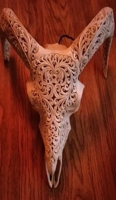 Witte ram schedel - super mooi uit gesneden