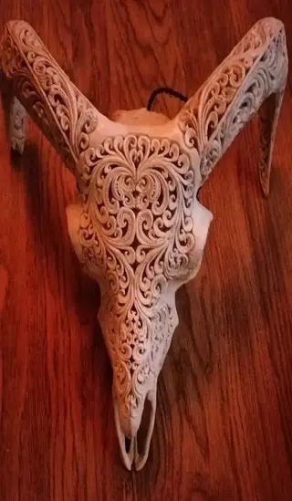 Witte ram schedel - super mooi uit gesneden