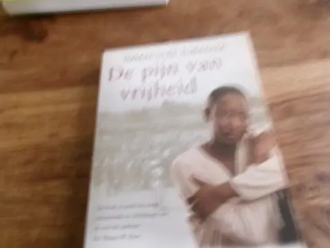 Immaculée Ilibagiza : De pijn van de vrijheid