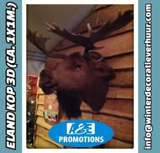 Verhuur elandkop rendier verhuur arrensledes etc.